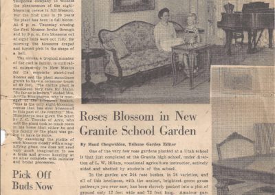 Newpaper Article